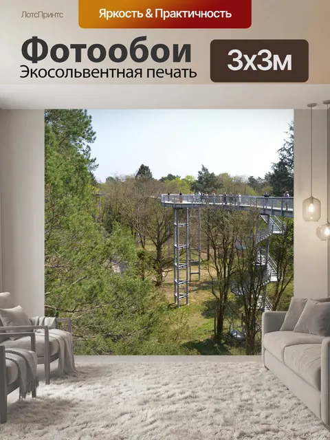 Фотообои Тропинка на верхушках деревьев