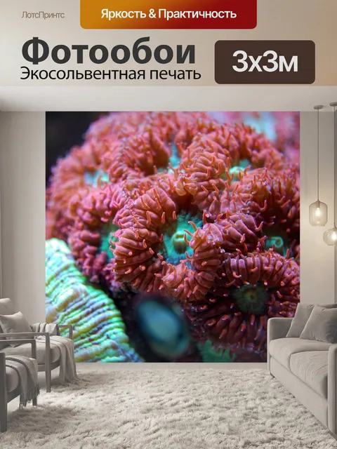 Фотообои Коралл