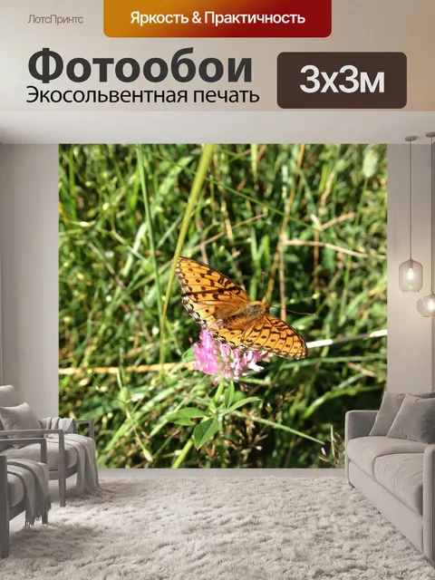 Фотообои Бабочка