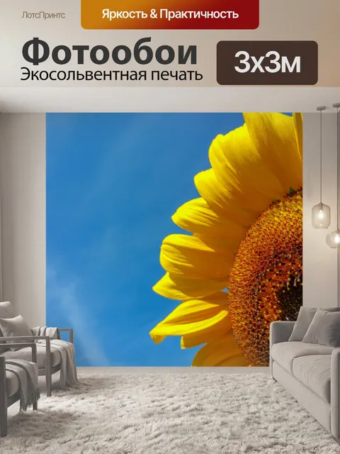 Фотообои Подсолнечное и голубое небо
