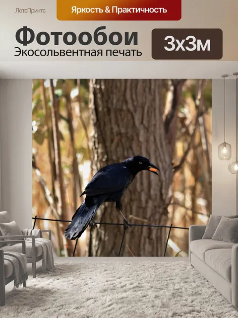 Фотообои Мужская гречка на проволочной ограде