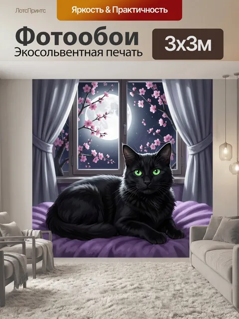 Фотообои Черный кот у окна ночью