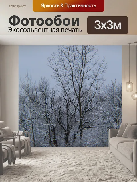 Фотообои Мичиган зимой