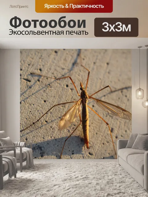 Фотообои Комар