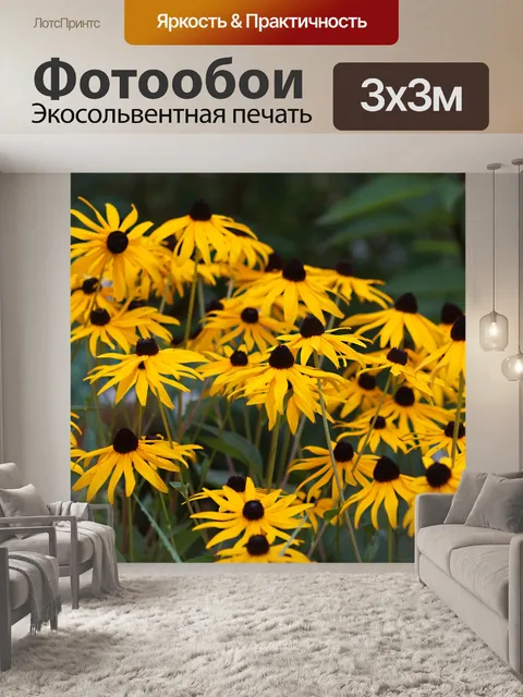 Фотообои Coneflower цветы цветут желтый