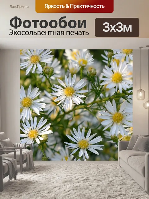 Фотообои Цветок