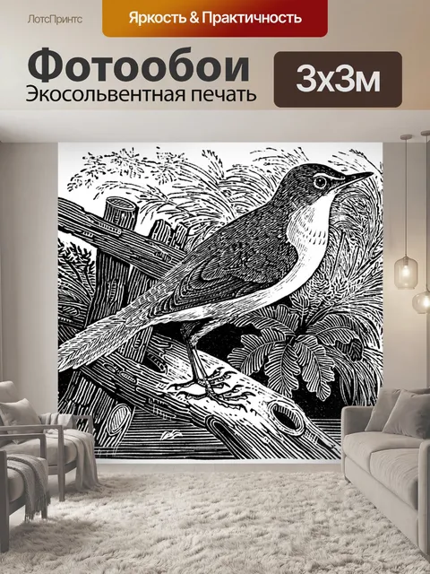 Фотообои Соловьиная птица-кузнечик