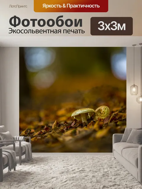 Фотообои грибы