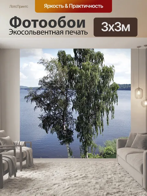 Фотообои Берёза