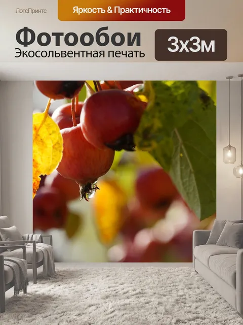 Фотообои Фрукты