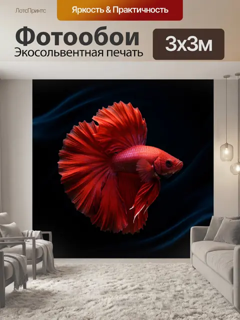 Фотообои Красная бойцовая рыбка на темном фоне