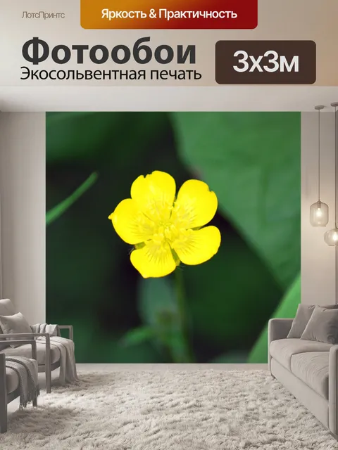 Фотообои Лютик Цветочный