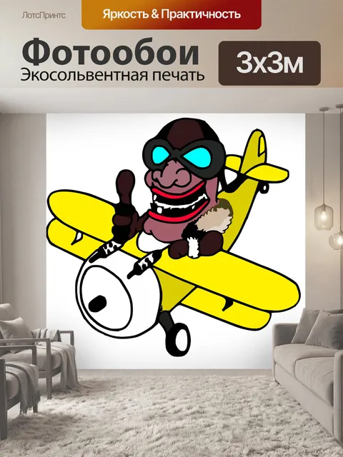Фотообои Биплан