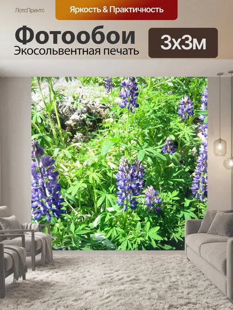 Фотообои Люпин