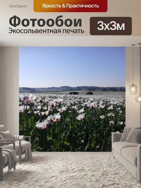 Фотообои Поле маков