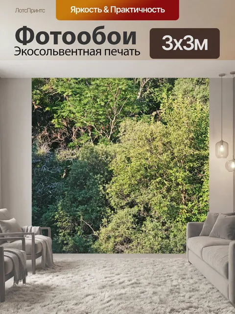 Фотообои куст чаща