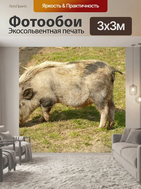 Фотообои Большой