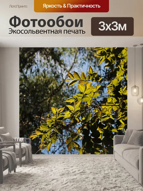 Фотообои солнечный свет на белых вонючих листьях