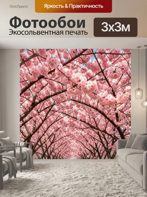 Фотообои Цветущие сакуры над аллеей