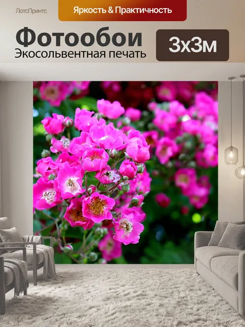 Фотообои Розовый куст