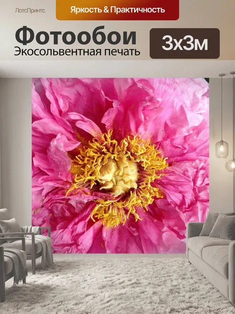 Фотообои Пион