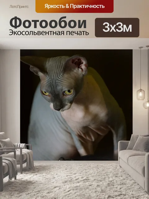 Фотообои Кошка