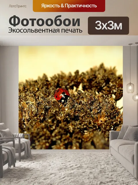 Фотообои Божья коровка