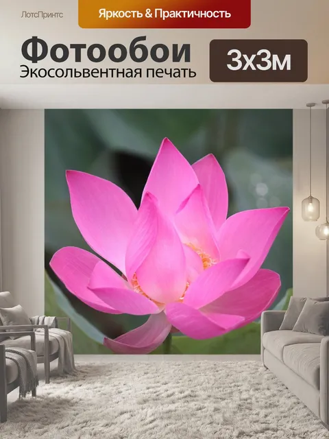 Фотообои Цветок