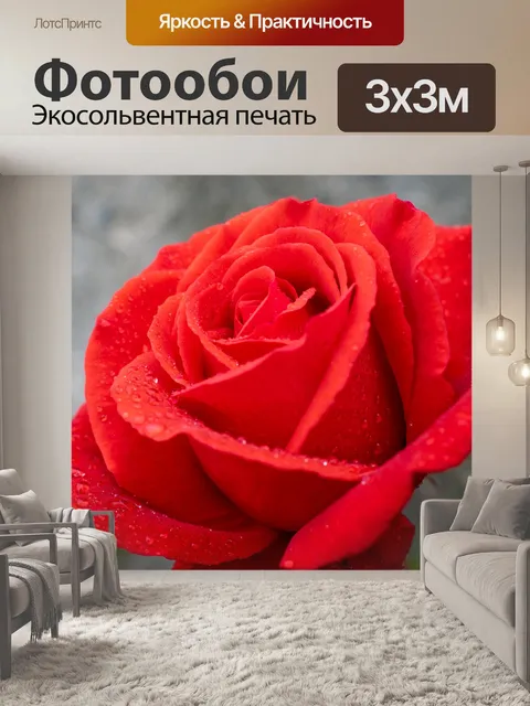 Фотообои Красная роза