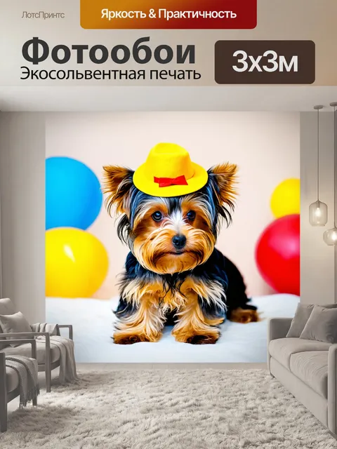 Фотообои йоркширский терьер с забавной шляпой