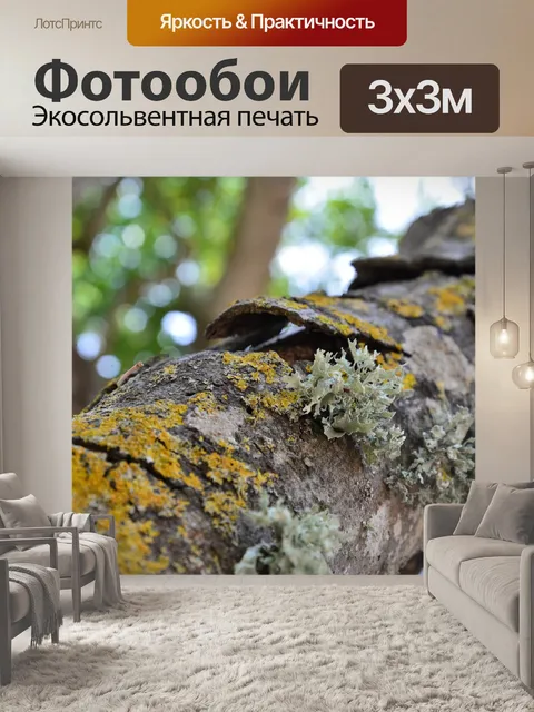 Фотообои Дерево