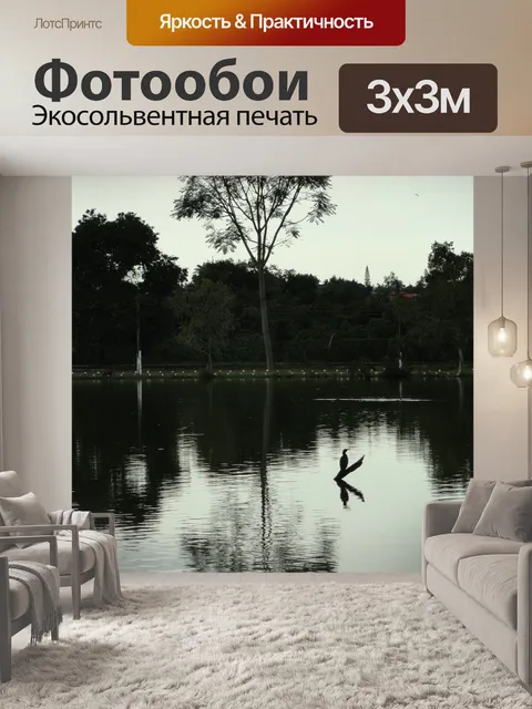 Фотообои Бразилиа