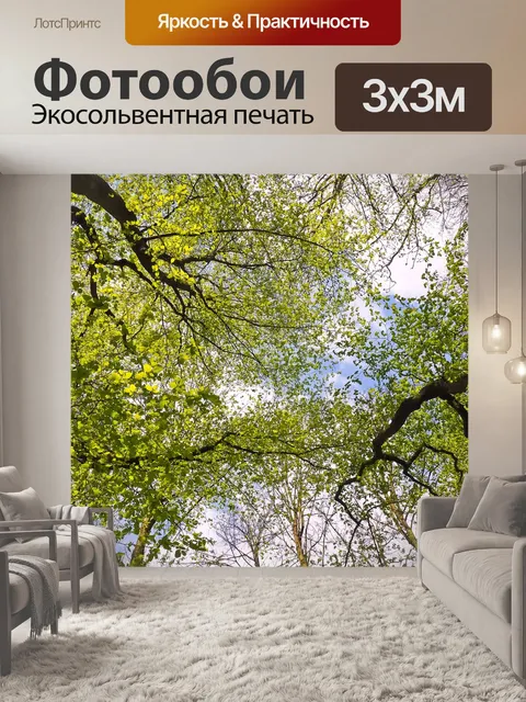 Фотообои Деревья