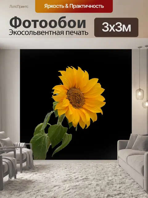 Фотообои Цветок подсолнечника