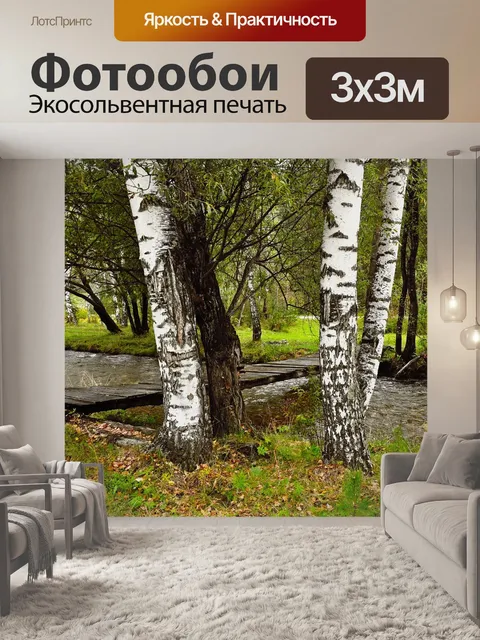 Фотообои Береза