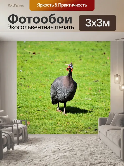 Фотообои Турция