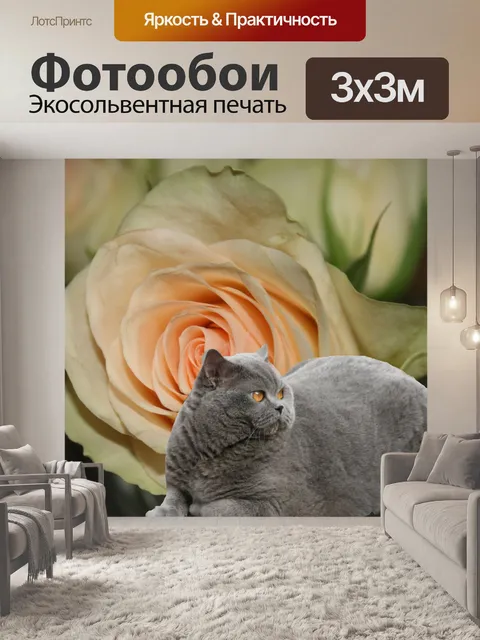 Фотообои Борис с цветком