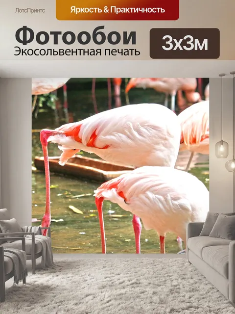 Фотообои Фламинго