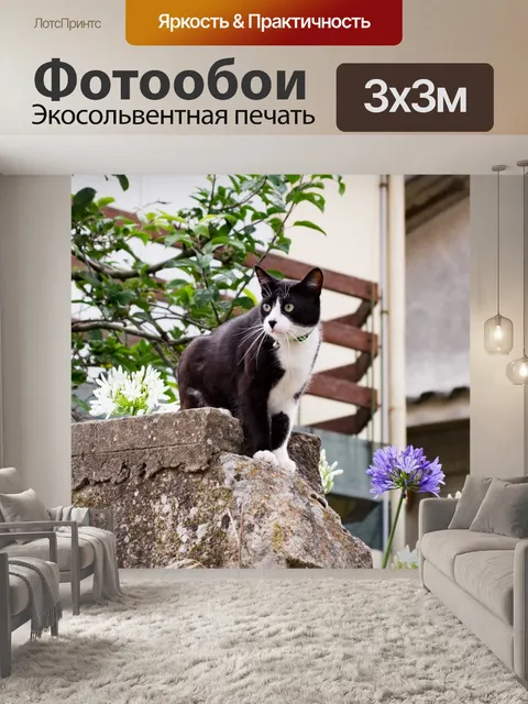 Фотообои Кошка