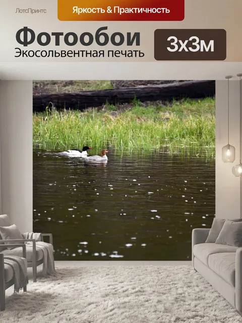Фотообои утки купаются в реке