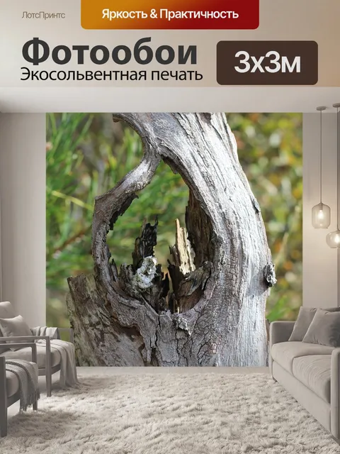 Фотообои Ствол дерева