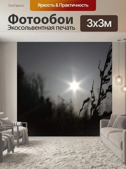 Фотообои Силуэт