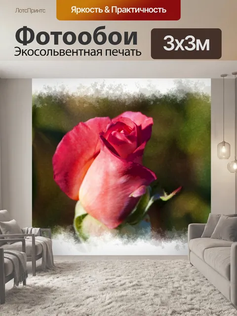 Фотообои Бутон розы