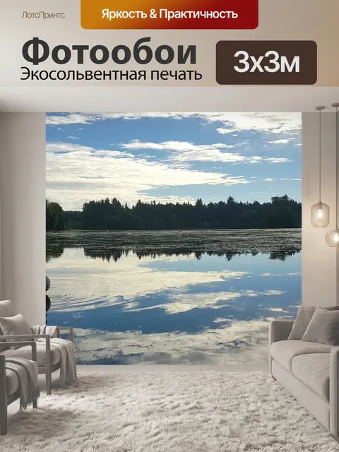 Фотообои Лебедь