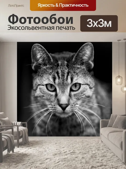 Фотообои Кошка