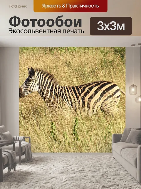 Фотообои Зебра