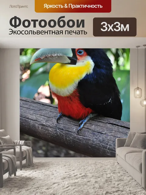 Фотообои Птицы