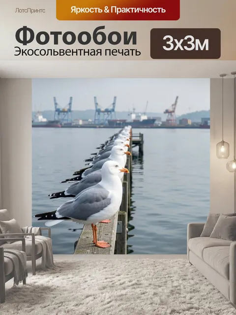 Фотообои Чайки на причале у порта