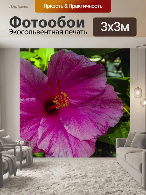 Фотообои Розовый гибискус