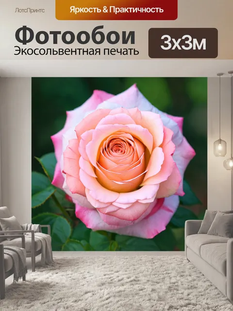 Фотообои розы в нежных пастельных тонах